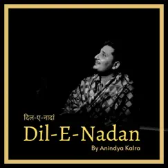 Dil-E-Nadan Song Lyrics
