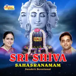 Sri Shiva Sahasranamam by K. S. Surekha & Ajay Warrier album reviews, ratings, credits