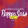 Perreo Sola (Remix) song lyrics