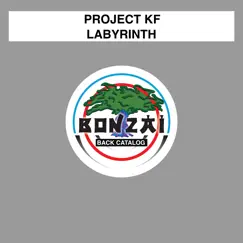 Labyrinth - Single by Project KF album reviews, ratings, credits