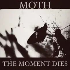 Moth Song Lyrics