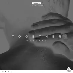 Together (feat. Newtimers) [Lost Kings Remix Radio Edit] Song Lyrics