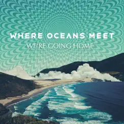 We're Going Home - Single by Where Oceans Meet album reviews, ratings, credits