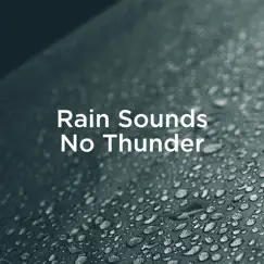 Rain Sounds No Thunder by Rain Sounds & Rain for Deep Sleep album reviews, ratings, credits