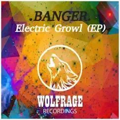 Electric Growl - Single by Banger album reviews, ratings, credits