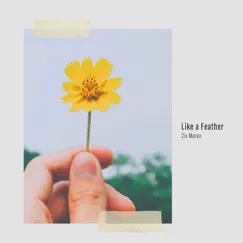 Like a Feather by Ziv Moran album reviews, ratings, credits