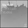 Stardust - Single album lyrics, reviews, download