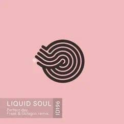 Perfect Day (Freak & Octagon Remix) - Single by Liquid Soul album reviews, ratings, credits