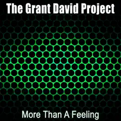 More Than a Feeling - Single by The Grant David Project album reviews, ratings, credits