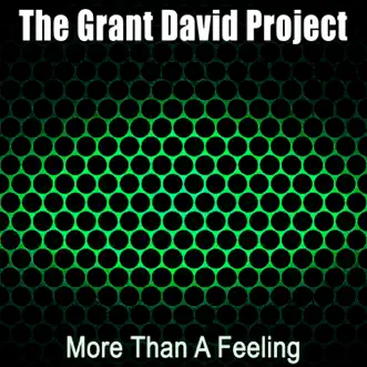 Download More Than a Feeling (Instrumental) The Grant David Project MP3