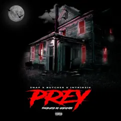 Prey (feat. ButchEr & Intrinzik) - Single by Snap album reviews, ratings, credits