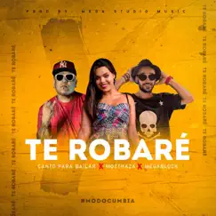 Te Robare Song Lyrics