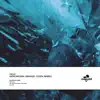 Astronomia (Manuel Costa Remix) - Single album lyrics, reviews, download