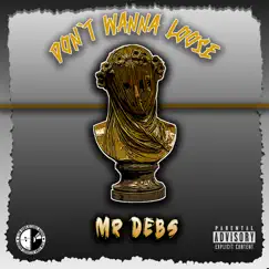 Don't Wanna Loose - Single by Mr Debs album reviews, ratings, credits