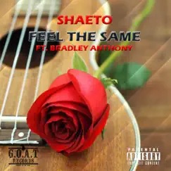 Feel the Same (feat. Bradley Anthony) - Single by Shaeto album reviews, ratings, credits