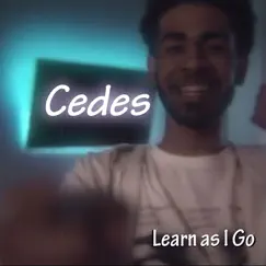Learn as I Go - Single by Cedes album reviews, ratings, credits