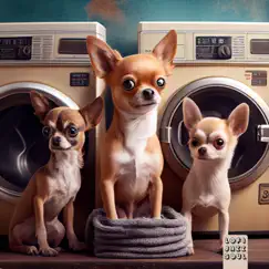 Puppy dogs & Washing Machines - Single by Toranpetto & Lofijazzsoul album reviews, ratings, credits