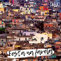 Festa na Favela Song Lyrics