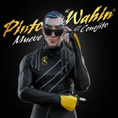 Mueve El Conejito - Single by Pinto 