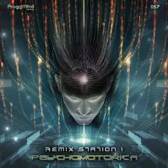 Remix Station 1 - Single by Psychomotorica album reviews, ratings, credits