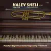 Halev Sheli (feat. Lenny Friedman) [Instrumental] - Single album lyrics, reviews, download