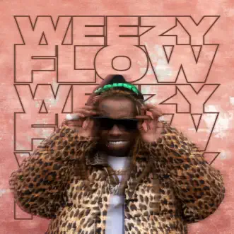 Weezy Flow - EP by Lil Wayne album download