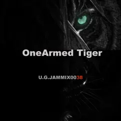 OneArmed Tiger Song Lyrics