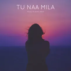 Tu Naa Mila Song Lyrics