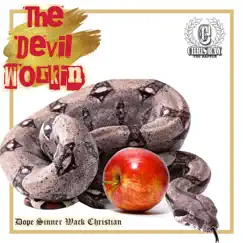 The Devil Workin - Single by Chris Ray the Rapper album reviews, ratings, credits