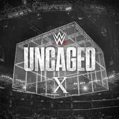 Are You Ready? (Hall of Fame 2019) [D-Generation X] Song Lyrics