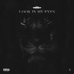 Look In My Eyes - Single by Ace Hood album reviews, ratings, credits
