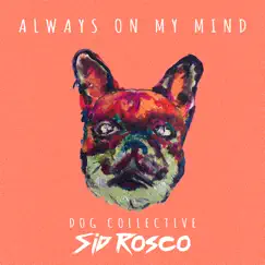 Always on My Mind - Single by Dog Collective & Sid Rosco album reviews, ratings, credits