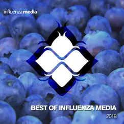 Influenza Recap 2019 by Various Artists album reviews, ratings, credits
