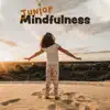 Junior Mindfulness: Meditation Session for Kids, Calming Therapy, Better Sleep, Focus & Relax album lyrics, reviews, download
