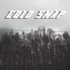 Cold Snap by Feel Time album reviews, ratings, credits