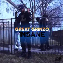 Insane - Single by Great Grinzo album reviews, ratings, credits