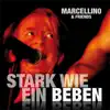 Stark wie ein Beben - Single album lyrics, reviews, download