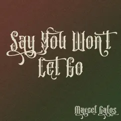 Say You Won't Let Go Song Lyrics