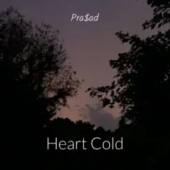 Heart Cold - Single by Pra$ad album reviews, ratings, credits