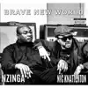 Brave New World (feat. Nzinga) - Single album lyrics, reviews, download