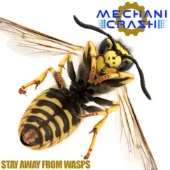 Stay Away from Wasps Song Lyrics