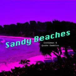 Sandy Beaches (feat. Quake Gambino) Song Lyrics