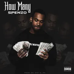 How Many - Single by Spenzo album reviews, ratings, credits