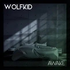 Awake - Single by Wolfkid album reviews, ratings, credits
