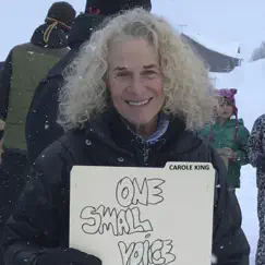 One Small Voice - Single by Carole King album reviews, ratings, credits
