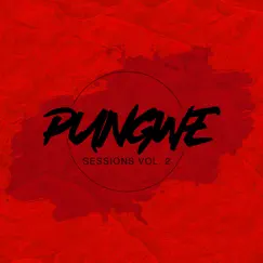 Pungwe Sessions Vol. II by Pungwe Sessions album reviews, ratings, credits