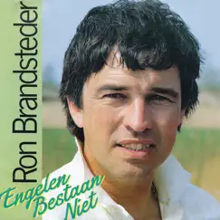 Engelen Bestaan Niet (Meezing Versie) - Single by Ron Brandsteder album reviews, ratings, credits