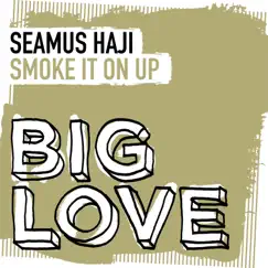 Smoke It On Up - Single by Seamus Haji album reviews, ratings, credits