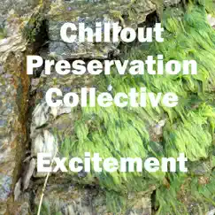 Excitement - Single by Chillout Preservation Collective album reviews, ratings, credits