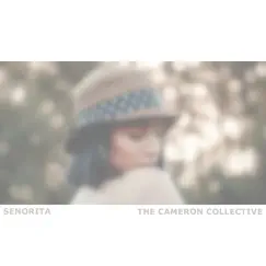 Señorita (Acoustic) Song Lyrics